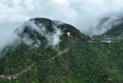 25年经营权争夺余波:观音山国家森林公园遭电力部门“卡脖子”