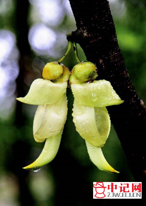 1730898874162473.jpg zqh.jpg