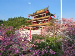 青山之上的“程序之困”--广东观音山