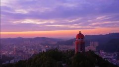 绿肺之殇：观音山毁林背后的多方博